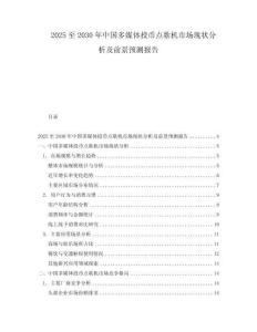 2025至2030年中国多媒体投币点歌机市场现状分析及前景预测报告