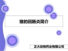猪回肠炎猪回肠炎简介ppt课件