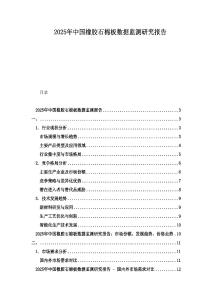 2025年中國橡膠石棉板數據監測研究報告