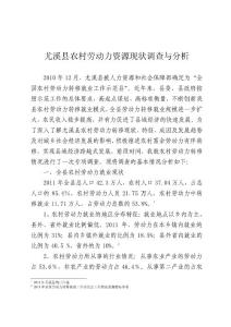 尤溪縣農村勞動力資源現狀調查與分析.doc