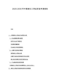 2025-2030年中國細化工用品資金申請報告
