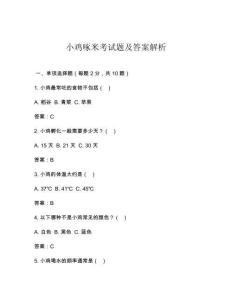小雞啄米考試題及答案解析