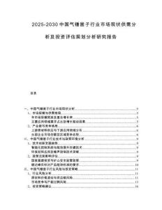 2025-2030中國(guó)氣錘鑿子行業(yè)市場(chǎng)現(xiàn)狀供需分析及投資評(píng)估規(guī)劃分析研究報(bào)告