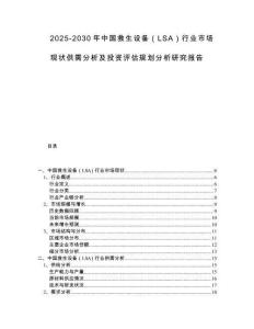 2025-2030年中國(guó)救生設(shè)備（LSA）行業(yè)市場(chǎng)現(xiàn)狀供需分析及投資評(píng)估規(guī)劃分析研究報(bào)告