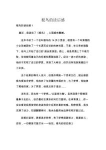 根鳥(niǎo)的讀后感