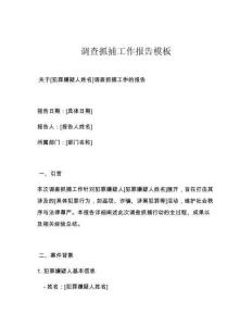 調查抓捕工作報告模板