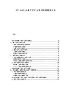 2025-2030氯丁膠產(chǎn)業(yè)規(guī)劃專項(xiàng)研究報(bào)告