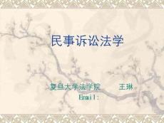 民事訴訟法復(fù)習(xí)重點