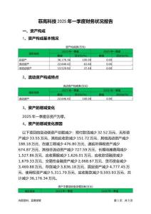 菲高科技2025年一季度財務(wù)狀況報告