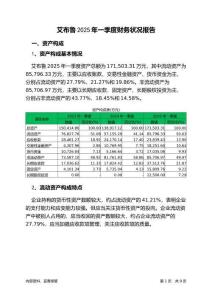 艾布魯2025年一季度財務(wù)狀況報告