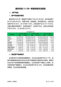 嘉環(huán)科技2025年一季度財務狀況報告