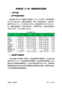 中堅科技2025年一季度財務(wù)狀況報告