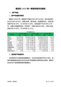 寒武紀-U2025年一季度財務(wù)狀況報告