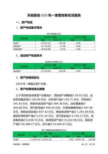 天佑股份2025年一季度財務(wù)狀況報告
