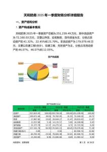 天和防務2025年一季度財務分析詳細報告