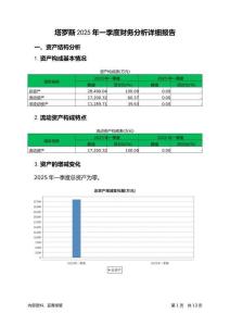 塔羅斯2025年一季度財務分析詳細報告