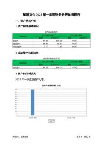 星漢文化2025年一季度財務分析詳細報告