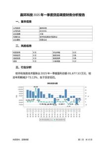 嘉環(huán)科技2025年一季度貸后調(diào)查財務(wù)分析報告