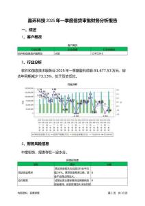 嘉環(huán)科技2025年一季度信貸審批財(cái)務(wù)分析報(bào)告