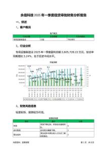 永信科技2025年一季度信貸審批財務分析報告