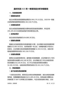嘉環(huán)科技2025年一季度財務(wù)風(fēng)險分析詳細(xì)報告