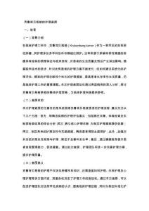 克魯肯貝格梭的護理查房