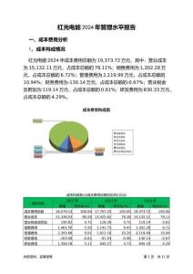 紅光電能2024年管理水平報(bào)告