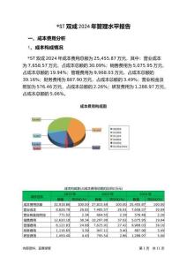 ST雙成2024年管理水平報告