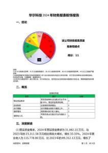 華爾科技2024年財務報表粉飾報告