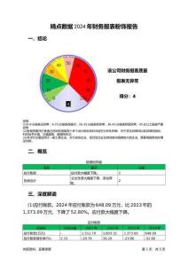 精點(diǎn)數(shù)據(jù)2024年財(cái)務(wù)報(bào)表粉飾報(bào)告