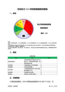 甘化科工2024年財務(wù)報表粉飾報告