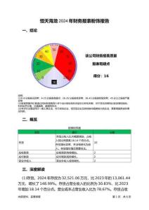 恒天海龍2024年財務(wù)報表粉飾報告