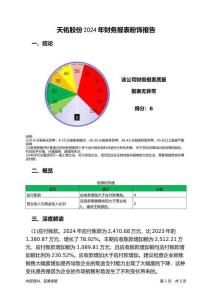 天佑股份2024年財務報表粉飾報告