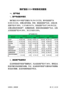 地礦股份2024年財(cái)務(wù)狀況報(bào)告