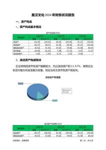 星漢文化2024年財務狀況報告