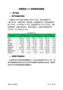 東南藥業(yè)2024年財務狀況報告