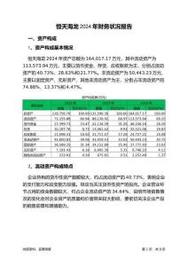 恒天海龍2024年財務(wù)狀況報告