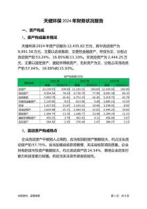 天健環(huán)保2024年財務(wù)狀況報告