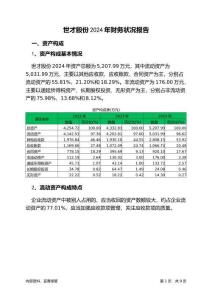 世才股份2024年財(cái)務(wù)狀況報(bào)告