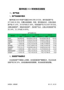 隆華科技2024年財(cái)務(wù)狀況報(bào)告