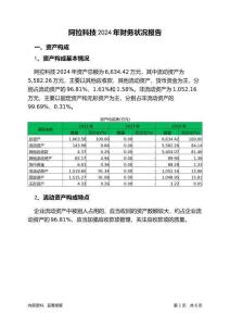 阿拉科技2024年財(cái)務(wù)狀況報(bào)告