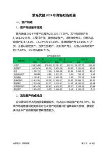 紫光優(yōu)健2024年財(cái)務(wù)狀況報(bào)告