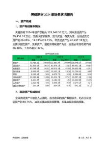 天健新材2024年財(cái)務(wù)狀況報(bào)告