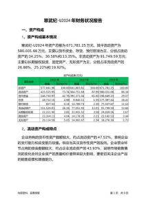 寒武紀(jì)-U2024年財(cái)務(wù)狀況報(bào)告