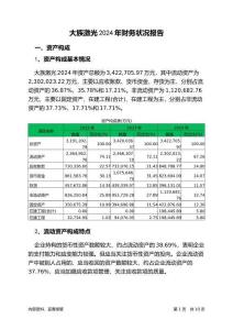 大族激光2024年財(cái)務(wù)狀況報(bào)告