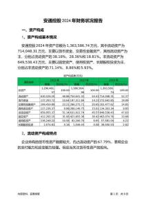 安通控股2024年財(cái)務(wù)狀況報(bào)告