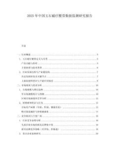2025年中國玉石磁療腰帶數(shù)據(jù)監(jiān)測研究報告