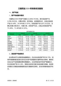 三鶴藥業(yè)2024年財(cái)務(wù)狀況報(bào)告