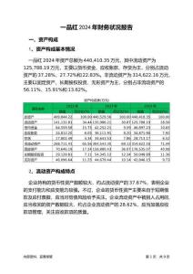 一品紅2024年財務(wù)狀況報告