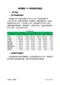 光環(huán)國際2024年財務(wù)狀況報告